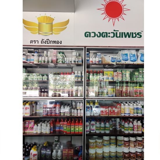 ยาฆ่าแมลง ปทุมธานี ยาฆ่าแมลง ปทุมธานี 