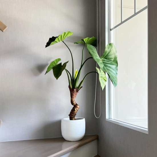 โรงงานจำหน่ายต้นไม้ปลอม - Sister Flower แหล่งขายปลีก - ส่ง ดอกไม้ปลอม ดอกไม้ประดิษฐ์ โรงงานจำหน่ายต้นไม้ปลอม - Sister Flower แหล่งขายปลีก - ส่ง ดอกไม้ปลอม ดอกไม้ประดิษฐ์