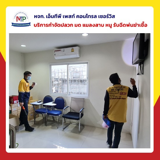 บริษัทกำจัดปลวกตายยกรัง พัทยา บริษัทกำจัดปลวกตายยกรัง พัทยา 
