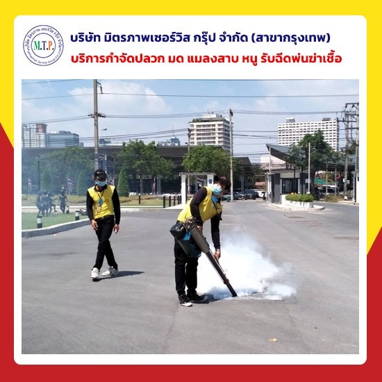 รับฉีดยุงลาย กทม รับฉีดยุงลาย กทม 