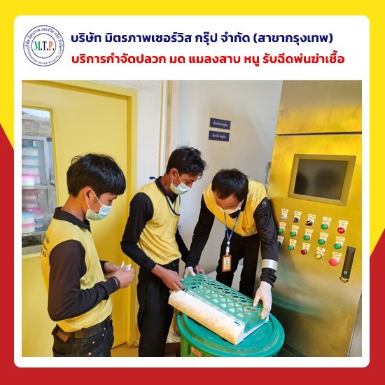 บริษัทกําจัดแมลง กทม บริษัทกําจัดแมลง กทม 