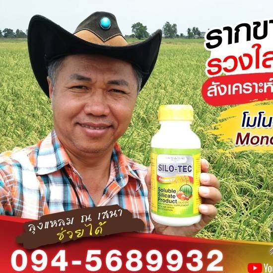 ขายส่งโมโน-ซิลิซิค แอซิด นนทบุรี ขายส่งโมโน-ซิลิซิค แอซิด นนทบุรี 
