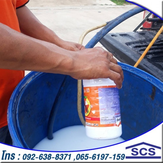 เลือกบริษัทกำจัดปลวก ศรีสะเกษ ที่ไหนดี เลือกบริษัทกำจัดปลวก ศรีสะเกษ ที่ไหนดี  กำจัดปลวก  บริการกำจัดปลวก 