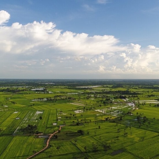 ทรัพย์สินขายทอดตลาด (NPL ขายทอดตลาด) ทรัพย์สินขายทอดตลาด 