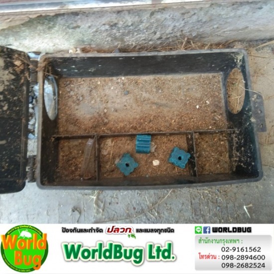 บริษัทกำจัดปลวกราคาถูก