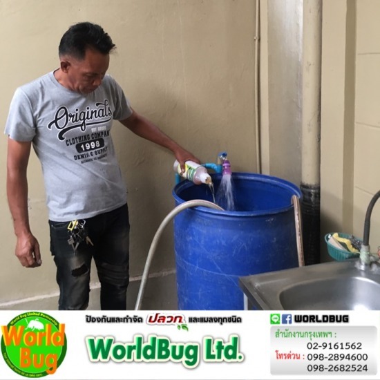 บริษัทกําจัดปลวก ใกล้ฉัน