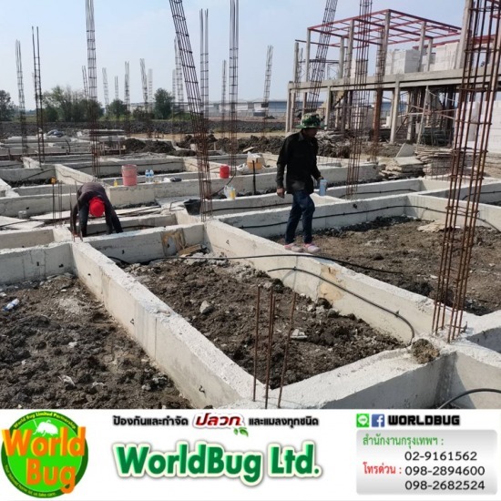 วางท่อกําจัดปลวก ราคาเท่าไหร่