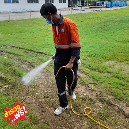 บริษัทกำจัดแมลงเพชรบุรี กำจัดแมลง  กำจัดแมลงเพชรบุรี  กำจัดแมลงหัวหิน  กำจัดแมลงราชบุรี  กำจัดมด  กำจัดแมลงตามบ้าน  กำจัดแมลงตามสำนักงาน  กำจัดแมลงสาบ 