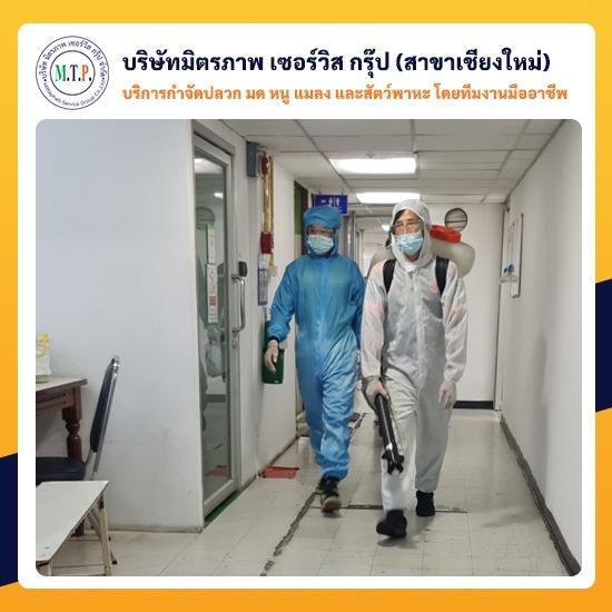 บริการพ่นฆ่าเชื้อโรคด่วน เชียงใหม่ บริการพ่นฆ่าเชื้อโรคด่วน เชียงใหม่ 