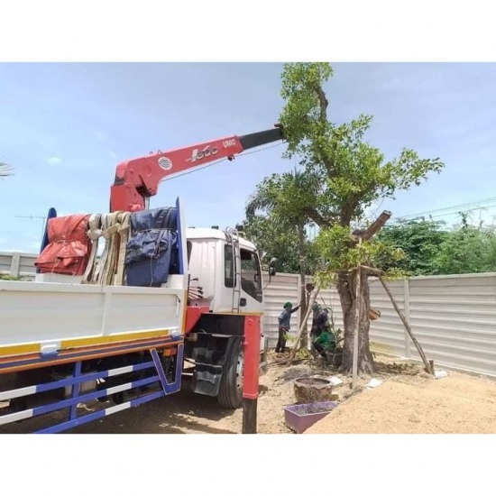 รับขนย้ายต้นไม้ใหญ่ รับขนย้ายต้นไม้ใหญ่ ยกย้ายต้นไม้ใหญ่ 