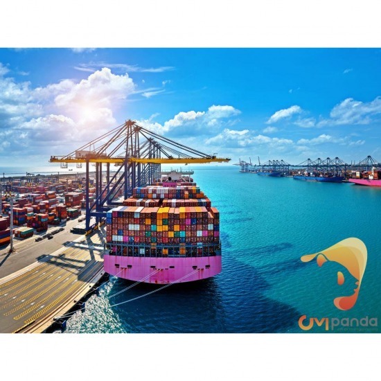 The company orders products from China. The company orders products from China.  Import products from China  Charming Panda  accepting imported products from China  Import products from China fully integrated.  Import products from China at cheap prices 