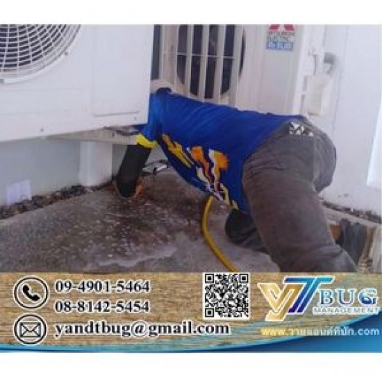 กำจัดปลวก ราคาเท่าไหร่ - บริษัทกำจัดปลวก สมุทรสาคร - วาย แอนด์ ที บัก เมเนจเม้นท์