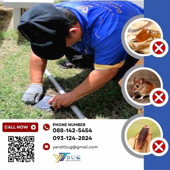 กำจัดปลวกระบบวางเหยื่อ