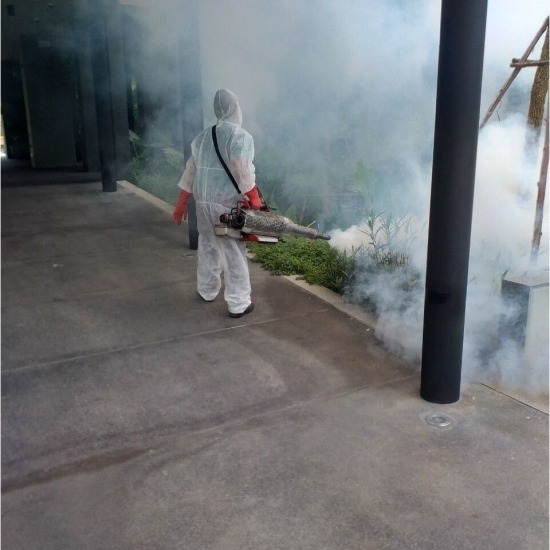 บริษัทฉีดพ่นยุง หาดใหญ่