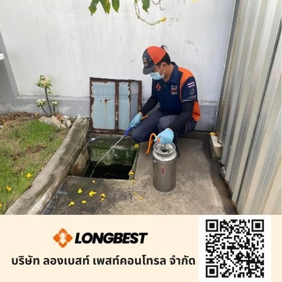 รับวางระบบท่อกำจัดปลวก รับวางระบบท่อกำจัดปลวก