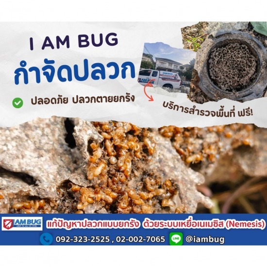 บริษัทฉีดปลวกใกล้ฉัน บริษัทฉีดปลวกใกล้ฉัน  ฉีดปลวกใกล้ฉัน  รับวางเหยื่อล่อปลวก ปทุมธานี  บริษัทกำจัดปลวก ราคาถูก  บริษัทกำจัดปลวกปทุมธานี  วางท่อกำจัดปลวกราคาถูก  บริษัทกำจัดแมลงสาบรังสิต  รับวางท่อกำจัดปลวก  กำจัดปลวก ปทุมธานี  รับฉีดปลวก ปทุมธานี 
