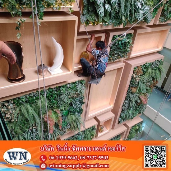 โรยตัวทำความสะอาด โรยตัวทำความสะอาด  โรยตัวเช็ดกระจก ราคา  โรยตัวเช็ดกระจก  บริการทำความสะอาดบนที่สูง  โรยตัวทำความสะอาดบนที่สูง 