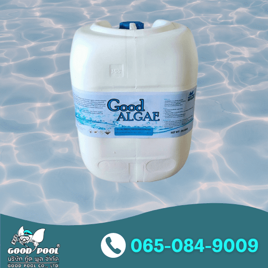 Good Algae ผลิตภัณฑ์ป้องกันและกำจัดตะไคร่ Good Algae ผลิตภัณฑ์ป้องกันและกำจัดตะไคร่  ขายส่งเคมีสระว่ายน้ำ  เครื่องผลิตคลอลีนจากเกลือ  จำหน่ายเคมัภัณฑ์สระว่ายน้ำ 