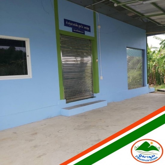 น้ำมันสกัดเย็นราคาโรงงาน