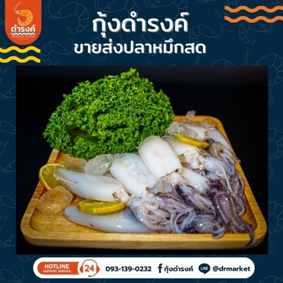 ปลาหมึกสด ราคาส่ง ปลาหมึกสด ราคาส่ง  จำหน่ายหมึกสด  ปลาหมึกสดราคาส่ง ใกล้ฉัน  ร้านขายปลาหมึกสดใกล้ฉัน  แหล่งซื้อปลาหมึกสดราคาถูก  ร้านขายปลาหมึกสด สมุทรปราการ  ร้านขายหมึก  ขายส่งปลาหมึกสด  ราคาปลาหมึกวันนี้ 