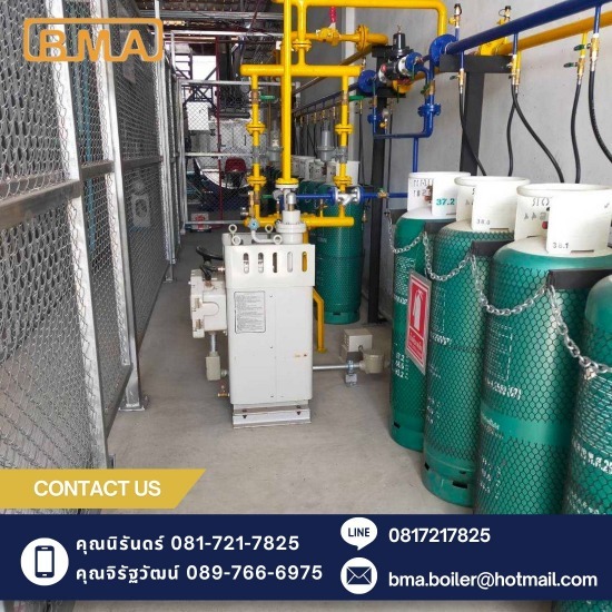 Boiler biomass Boiler GAP 