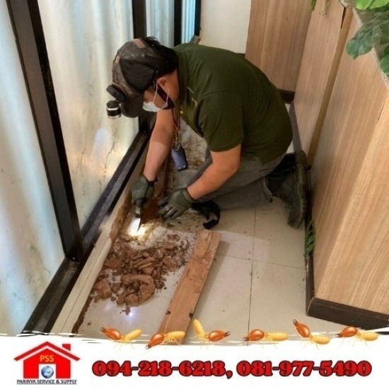 กำจัดปลวกตายยกรัง กำจัดปลวกตายยกรัง  ยาฆ่าปลวกยี่ห้อไหนดี  ยากำจัดปลวก  บริษัท กำจัดปลวกตายยกรังใกล้ฉัน  ยากำจัดปลวกตายยกรัง  บริษัทกำจัดปลวก 