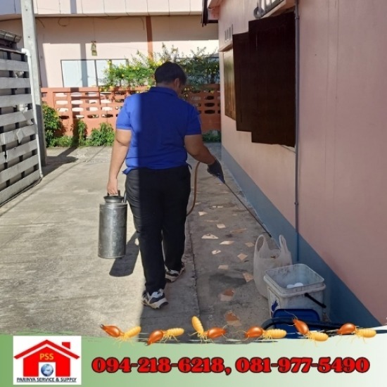 รับฉีดปลวก นครราชสีมา รับฉีดปลวก นครราชสีมา ใกล้ฉัน  รับฉีดปลวกใกล้ฉัน  รับฉีดปลวก ราคาถูก  ร้านรับฉีดปลวก  บริษัทรับกำจัดปลวกมดแมลง 