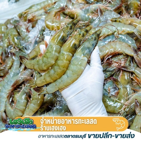 ขายส่งกุ้งขาว ขายส่งกุ้งขาว 