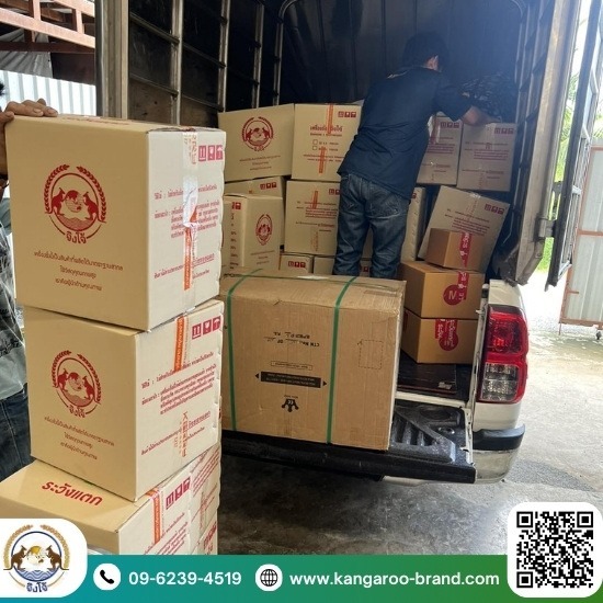 จำหน่ายตาชั่งตราจิงโจ้ ขายส่งตาชั่งตราจิงโจ้  เครื่องชั่งตราจิงโจ้  จำหน่าย ขายเครื่องชั่ง  ขายตาชั่งน้ำหนัก  เครื่องชั่งราคาถูก  ร้านขายตาชั่ง ใกล้ฉัน  จำหน่ายตาชั่งตราจิงโจ้ 