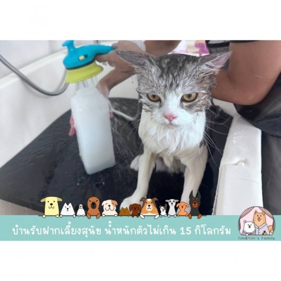ร้านอาบน้ำแมว สมุทรปราการ - รับฝากเลี้ยงสุนัข สมุทรปราการ - Tim&Yim Family
