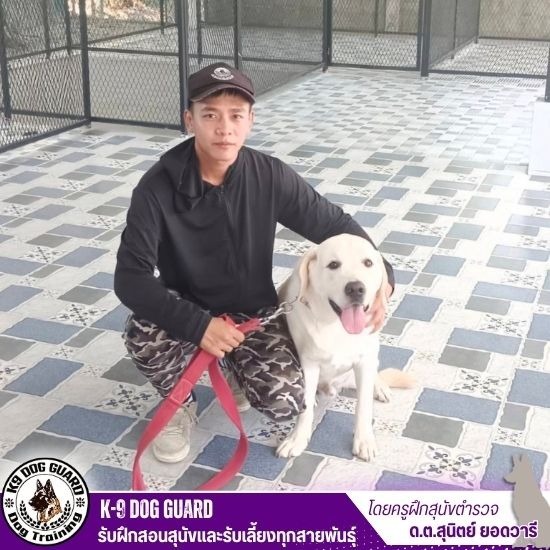 รับฝากสุนัข รับฝากสุนัข