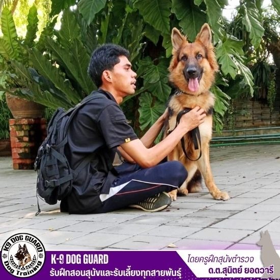 ศูนย์ฝึกสุนัข K9 ศูนย์ฝึกสุนัข K9