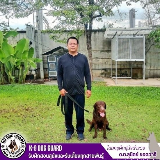 รับฝากสุนัขรายเดือน - รับฝึกสอนสุนัขและรับเลี้ยงทุกสายพันธุ์ รับฝากสุนัขรายเดือน - รับฝึกสอนสุนัขและรับเลี้ยงทุกสายพันธุ์