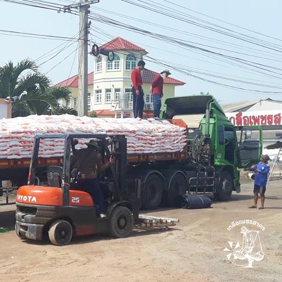 แหล่งขายส่งเกลือสมุทรสาคร เกลือแท้ ราคาถูก