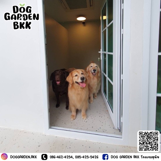 โรงแรมสุนัข พุทธมณฑล - รับฝากเลี้ยงสุนัข - DOG GARDEN BKK โรงแรมสุนัข พุทธมณฑล - รับฝากเลี้ยงสุนัข - DOG GARDEN BKK