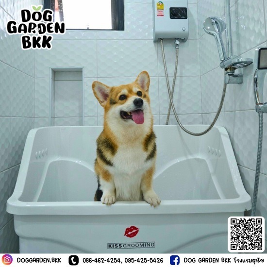 อาบน้ำหมา พุทธมณฑล - รับฝากเลี้ยงสุนัข - DOG GARDEN BKK