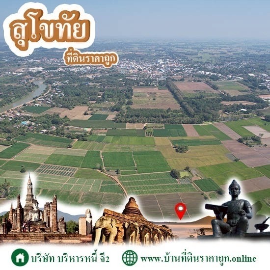 Land for sale in Sukhothai Province, cheap price Land for sale in Sukhothai Province  cheap price 