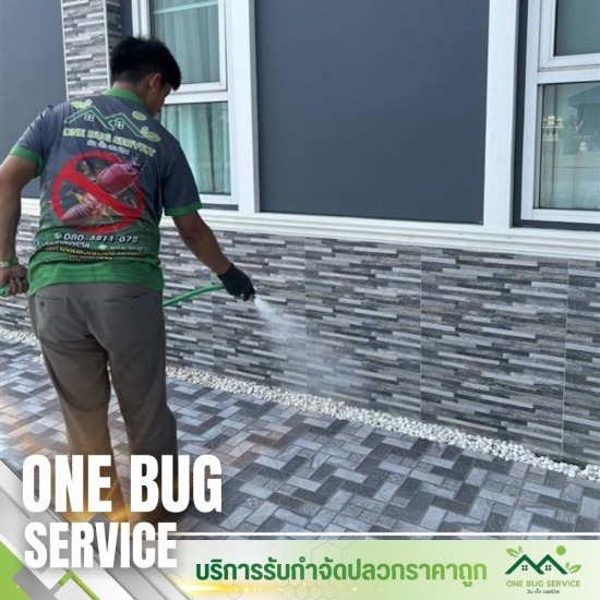 รับฉีดปลวก นนทบุรี