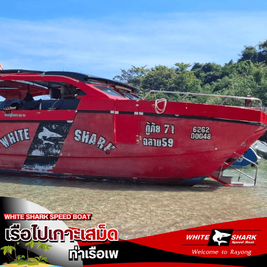 เรือสปีดโบ๊ท เกาะเสม็ด