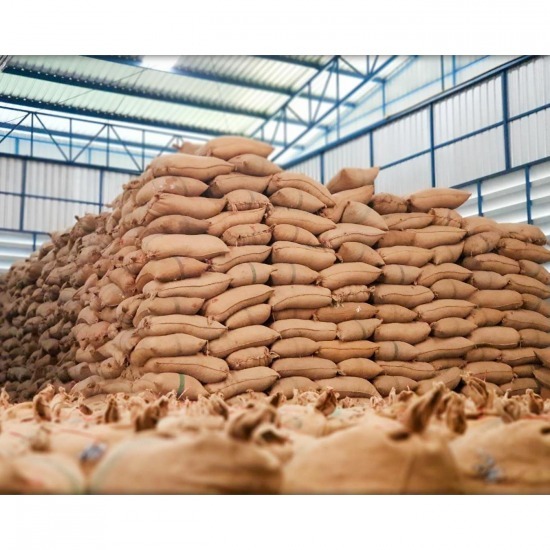 Cashew nut factory Cashew nut factory 