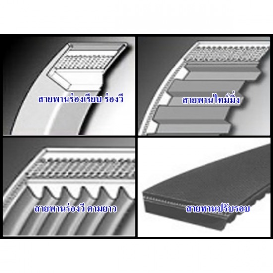 สายพาน สายพานส่งกำลัง สายพานเครื่องจักร สายพานเครื่องยนต์ สายพานปรับสปีด  ตะแกรงเหล็กฉีก  ผลิตตะแกรงเหล็ก  ตะแกรงเหล็ก  ตะแกรงเจาะรู  ตะแกรงสแตนเลส  ตะแกรงสเตนเลส  ตะแกรงอลูมิเนียม  สายพาน  สายพานลำเลียง  สายพานผ้าใบ  สายพานส่งกำลัง  ตลับลูกปืน  โซ่  โซ่เฟือง  เฟืองโซ่  มู่เล่ย์  ยางยอย 