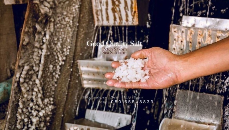 ขายเกลือทะเล ราคาถูก สมุทรสาคร