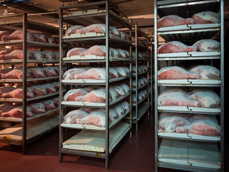 เราจัดจำหน่ายหลากหลายส่วนของหมู ไม่ว่าจะเป็นหมูสามชั้น สันนอก สันใน คอหมู หมูบด