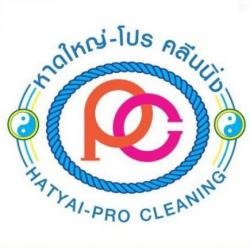 ห้างหุ้นส่วนจำกัด หาดใหญ่-โปร คลีนนิ่ง