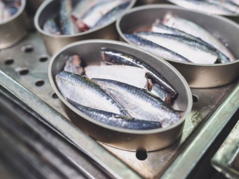 รับผลิตปลากระป๋องส่งออก