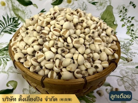 จำหน่ายลูกเดือย