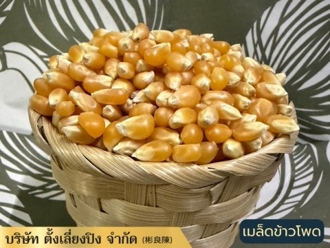 เมล็ดข้าวโพดแบบกินได้