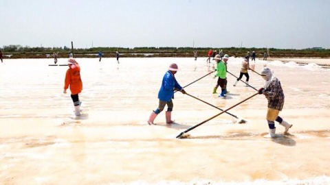 ขายเกลือทะเลทุกชนิด