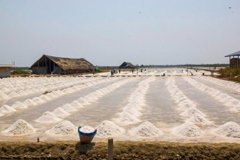 เกลือทะเล ราคาถูก