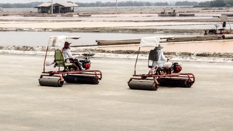 ผลิต-จำหน่ายเกลือทะเลทุกชนิด